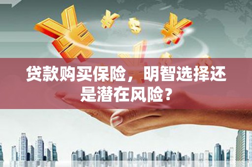 鄢陵贷款购买保险，明智选择还是潜在风险？