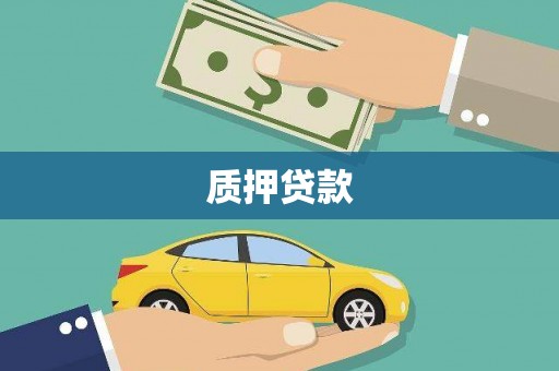 鄢陵质押贷款