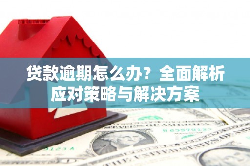 鄢陵贷款逾期怎么办？全面解析应对策略与解决方案