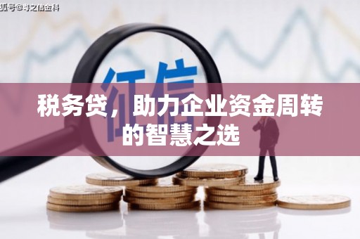 鄢陵税务贷，助力企业资金周转的智慧之选