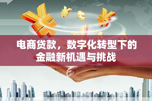 鄢陵电商贷款，数字化转型下的金融新机遇与挑战