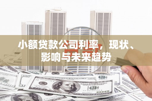 鄢陵小额贷款公司利率，现状、影响与未来趋势