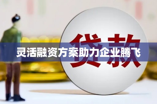鄢陵灵活融资方案助力企业腾飞