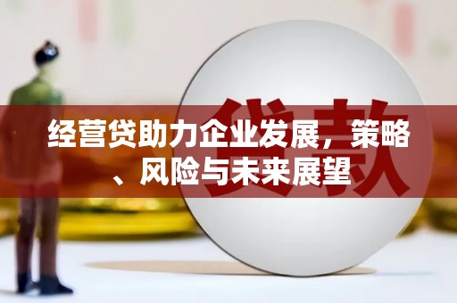 鄢陵经营贷助力企业发展，策略、风险与未来展望