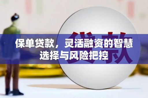 鄢陵保单贷款，灵活融资的智慧选择与风险把控