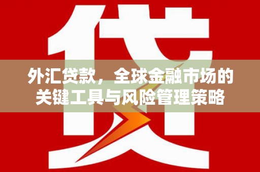 鄢陵外汇贷款，全球金融市场的关键工具与风险管理策略