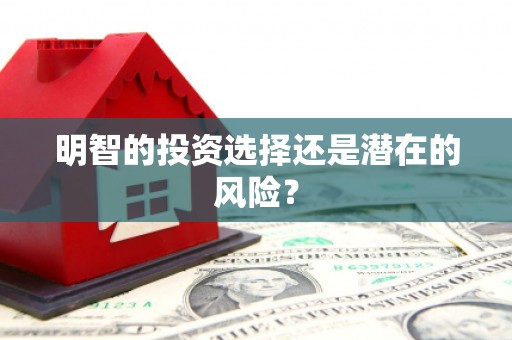 鄢陵明智的投资选择还是潜在的风险？