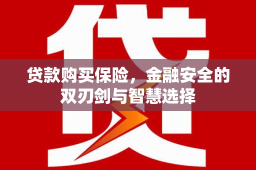 鄢陵贷款购买保险，金融安全的双刃剑与智慧选择