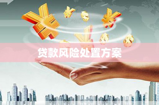 鄢陵贷款风险处置方案
