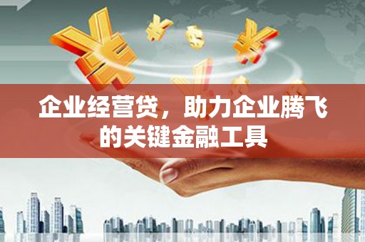 鄢陵企业经营贷，助力企业腾飞的关键金融工具