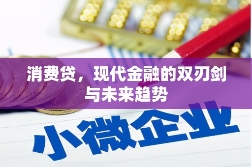 鄢陵消费贷，现代金融的双刃剑与未来趋势