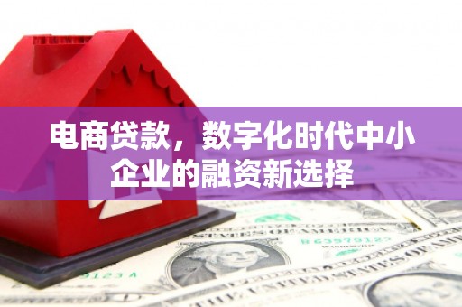 鄢陵电商贷款，数字化时代中小企业的融资新选择