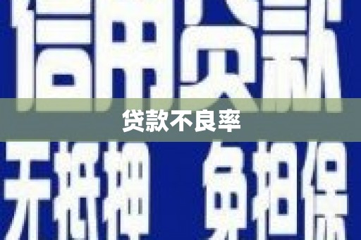 鄢陵贷款不良率