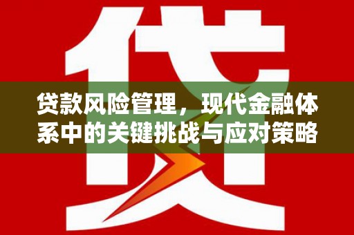 鄢陵贷款风险管理，现代金融体系中的关键挑战与应对策略