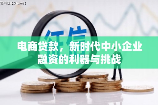 鄢陵电商贷款，新时代中小企业融资的利器与挑战