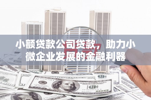 鄢陵小额贷款公司贷款，助力小微企业发展的金融利器