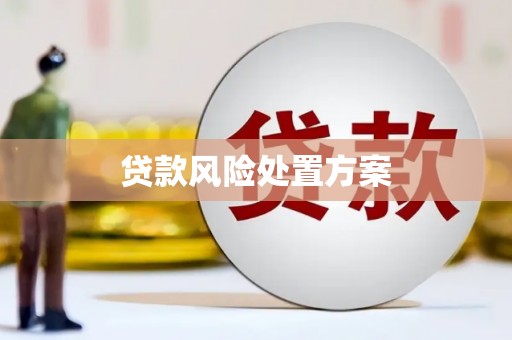 鄢陵贷款风险处置方案