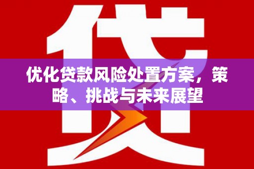 鄢陵优化贷款风险处置方案，策略、挑战与未来展望