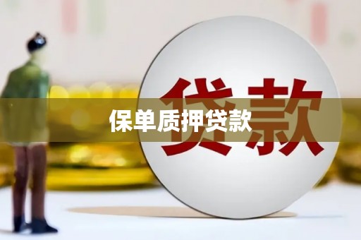 鄢陵保单质押贷款