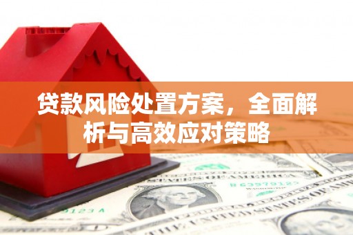 鄢陵贷款风险处置方案，全面解析与高效应对策略