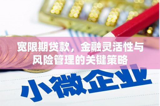 鄢陵宽限期贷款，金融灵活性与风险管理的关键策略