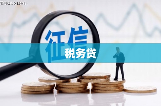 鄢陵税务贷
