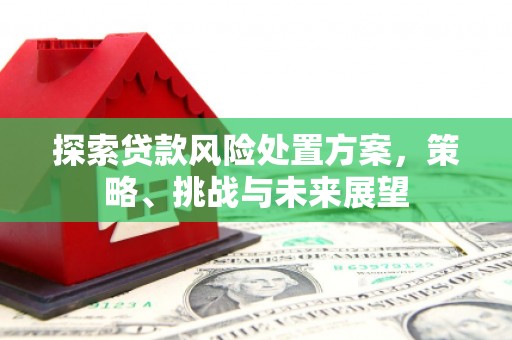 鄢陵探索贷款风险处置方案，策略、挑战与未来展望