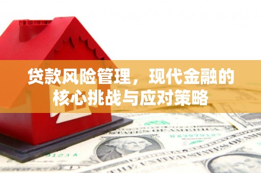鄢陵贷款风险管理，现代金融的核心挑战与应对策略