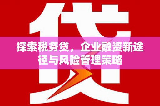 鄢陵探索税务贷，企业融资新途径与风险管理策略