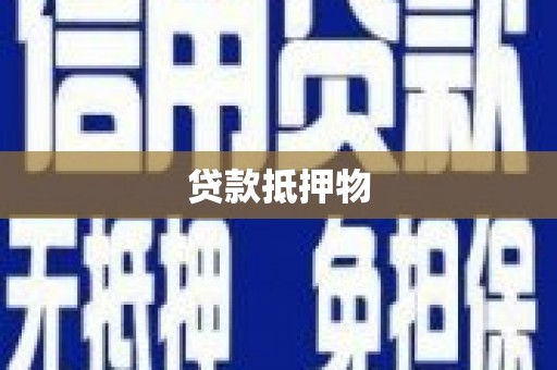 鄢陵贷款抵押物