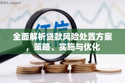 鄢陵全面解析贷款风险处置方案，策略、实施与优化