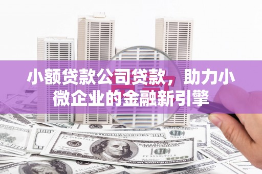 鄢陵小额贷款公司贷款，助力小微企业的金融新引擎