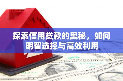 鄢陵探索信用贷款的奥秘，如何明智选择与高效利用