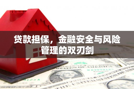 鄢陵贷款担保，金融安全与风险管理的双刃剑