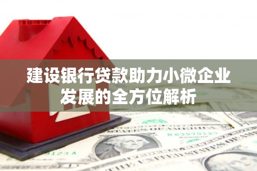 鄢陵建设银行贷款助力小微企业发展的全方位解析
