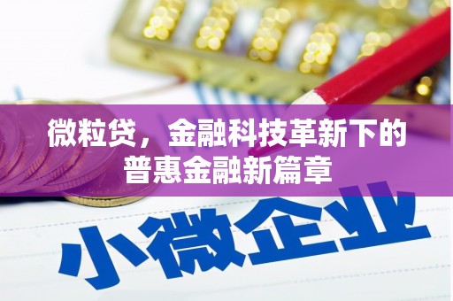 鄢陵微粒贷，金融科技革新下的普惠金融新篇章