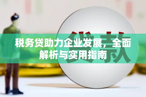 鄢陵税务贷助力企业发展，全面解析与实用指南