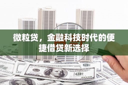 鄢陵微粒贷，金融科技时代的便捷借贷新选择