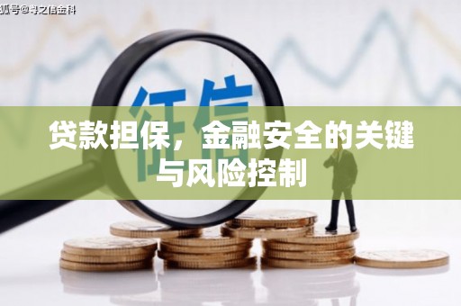 鄢陵贷款担保，金融安全的关键与风险控制