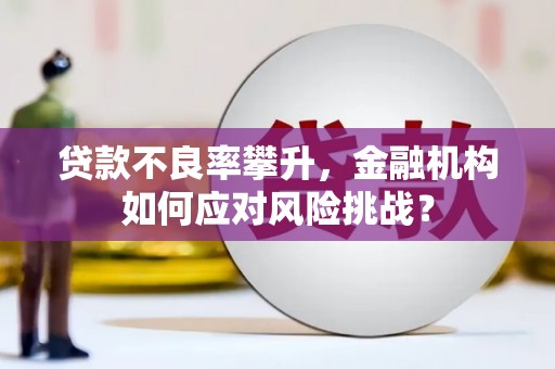 鄢陵贷款不良率攀升，金融机构如何应对风险挑战？