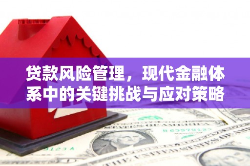 鄢陵贷款风险管理，现代金融体系中的关键挑战与应对策略