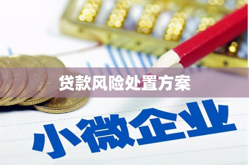 鄢陵贷款风险处置方案