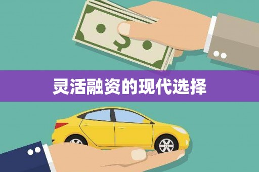 鄢陵灵活融资的现代选择
