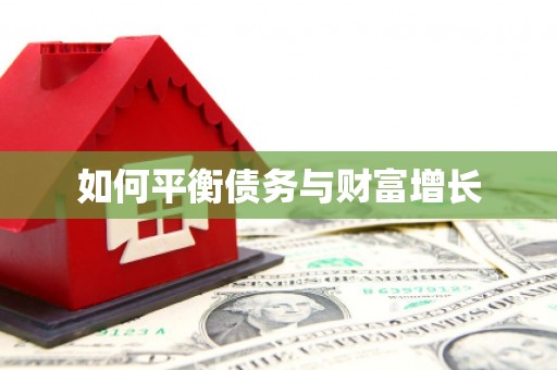 鄢陵如何平衡债务与财富增长