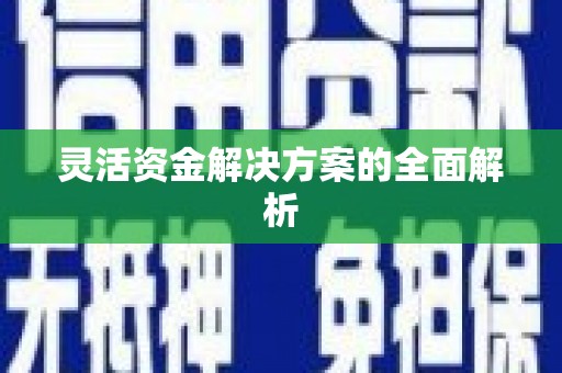 鄢陵灵活资金解决方案的全面解析