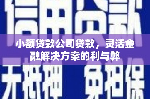 鄢陵小额贷款公司贷款，灵活金融解决方案的利与弊