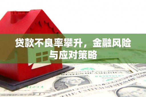 鄢陵贷款不良率攀升，金融风险与应对策略